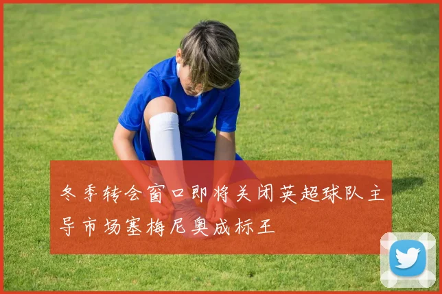 冬季转会窗口即将关闭英超球队主导市场塞梅尼奥成标王