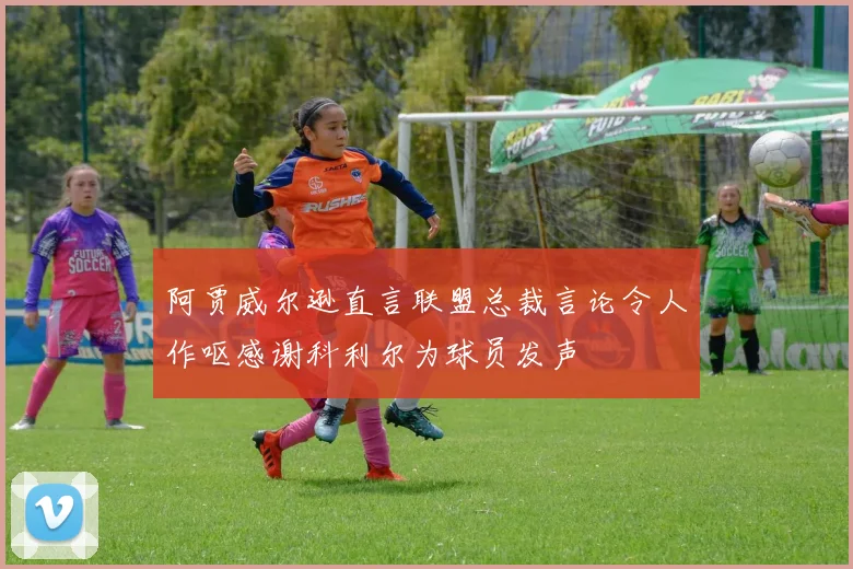 阿贾威尔逊直言联盟总裁言论令人作呕感谢科利尔为球员发声