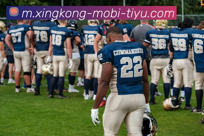 星空体育平台生态图